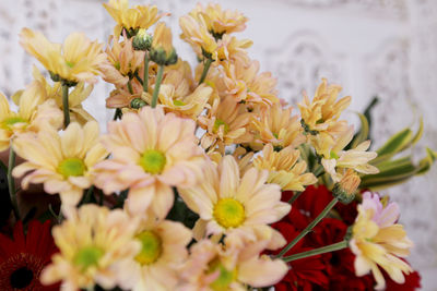 Close-up of yellow flowering plant