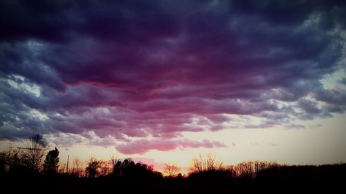 Silhouette of trees against dramatic sky