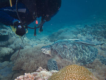 underwater