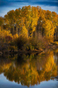 Fall colors reflected in river