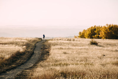 Man standing on pathway amidst field against clear sky