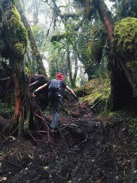 Man with trees in forest