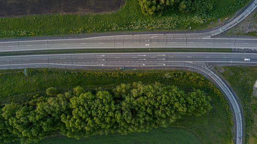 High angle view of road amidst plants