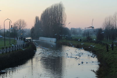 Scenic view of river against clear sky