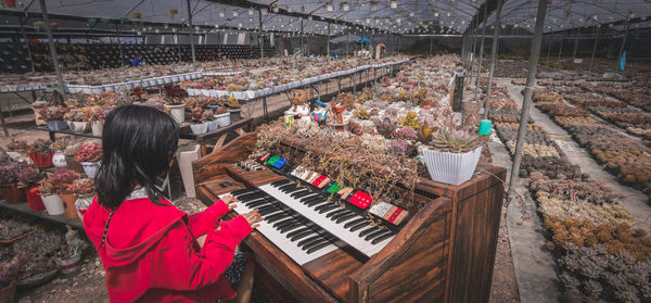 Rear view of woman standing in greenhouse and playing piano