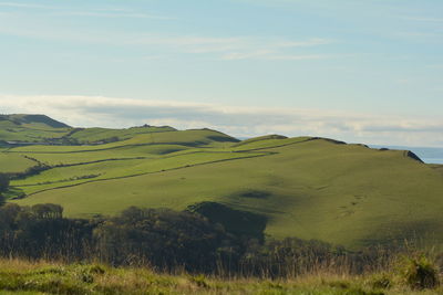 hill