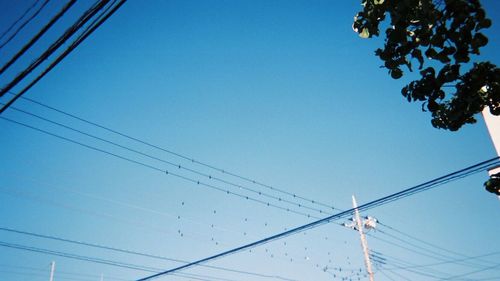 Low angle view of birds perching on cable against clear blue sky