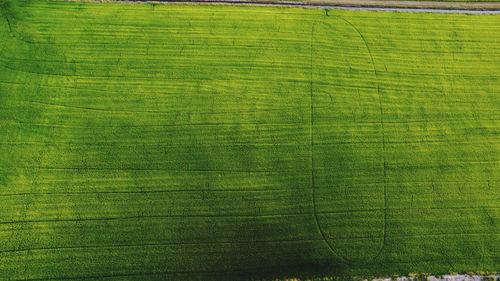 Full frame shot of green field