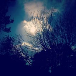 Low angle view of silhouette trees against sky