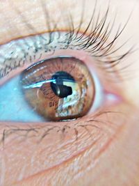 Extreme close-up of human eye