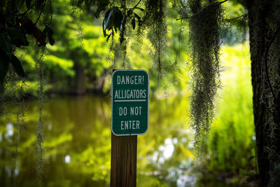 Close-up of road sign in forest