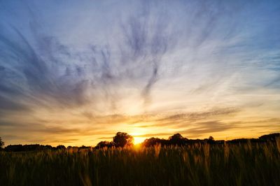 Scenic view of field against sky during sunset