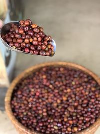 Close-up of roasted coffee beans in bowl