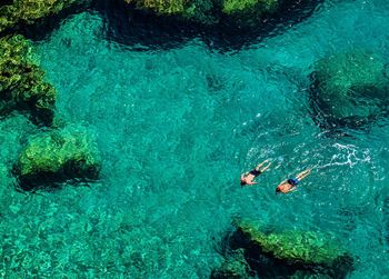 High angle view of two men swimming in sea