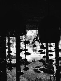 Row of trees in the dark