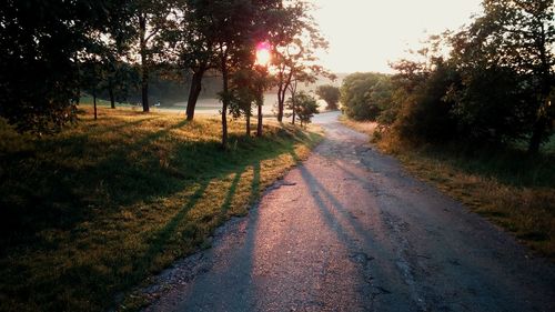 Dirt road amidst trees against sky