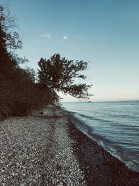 Scenic view of sea against clear sky