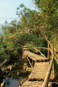 Staircase in forest against sky