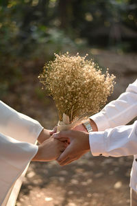 Two lover holding dried flower