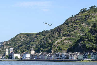 Two greylag geese flying over the river, in the background hills and buildings.