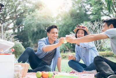 Cheerful friends toasting drinks while sitting on picnic blanket at park