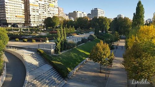 Buildings in city