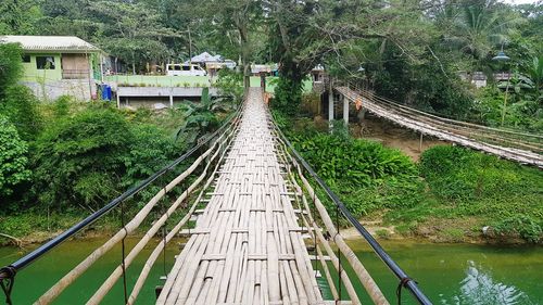 Footbridge over canal amidst trees