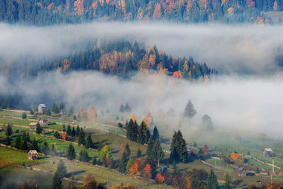 High angle view of trees on landscape during autumn