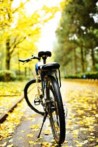 Close-up of bicycle on yellow autumn leaves
