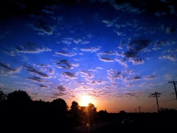 Silhouette of trees at sunset