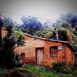 Houses with trees in background