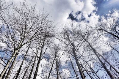 Low angle view of bare tree against cloudy sky