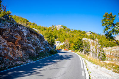 Road amidst trees against blue sky