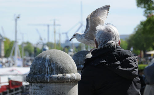 Rear view of statue against sky in city