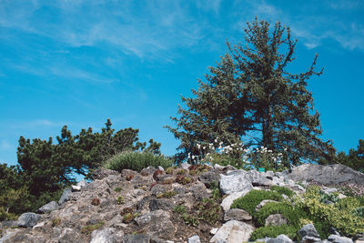 Low angle view of rocks against blue sky