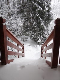 Snow covered landscape