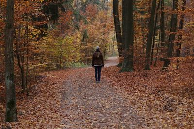 Rear view of woman walking amidst trees in forest during autumn