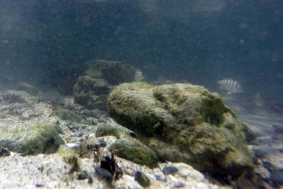 Rocks in sea