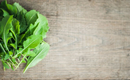 High angle view of leaves on table