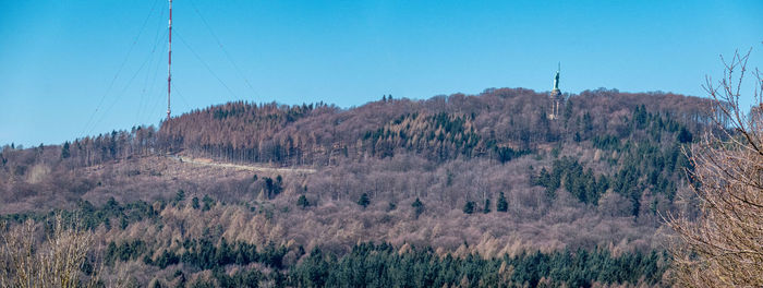 Panoramic shot of trees and plants against clear blue sky