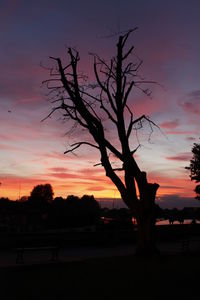 Silhouette tree against dramatic sky during sunset
