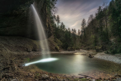 Scenic view of waterfall in forest