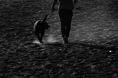 Low section of man with dog walking in water