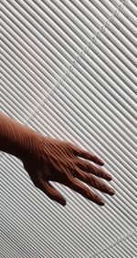 Cropped hand by blinds