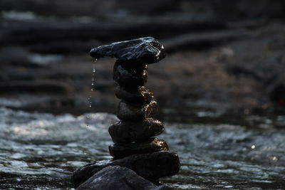 Close-up of pebbles on rock