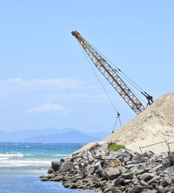 Cranes on rocks by sea against sky