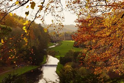 Scenic view of lake amidst trees during autumn