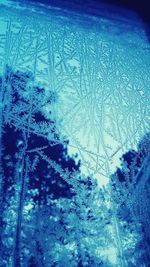 Close-up of snowflakes on tree