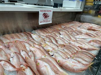 High angle view of fish for sale in market