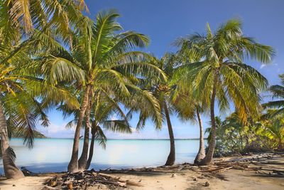 Scenery into maupiti lagoon